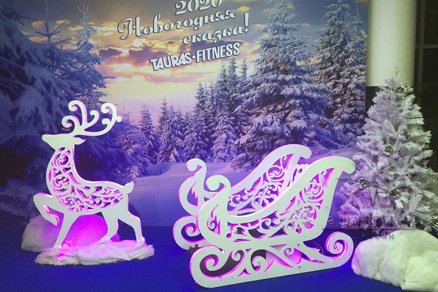 Новогодняя фотозона в спортивном клубе TAURAS-FITNESS