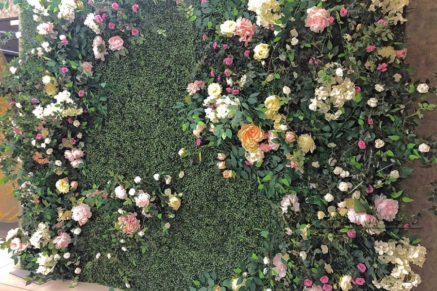 Фотозона из самшита с плетистой розой