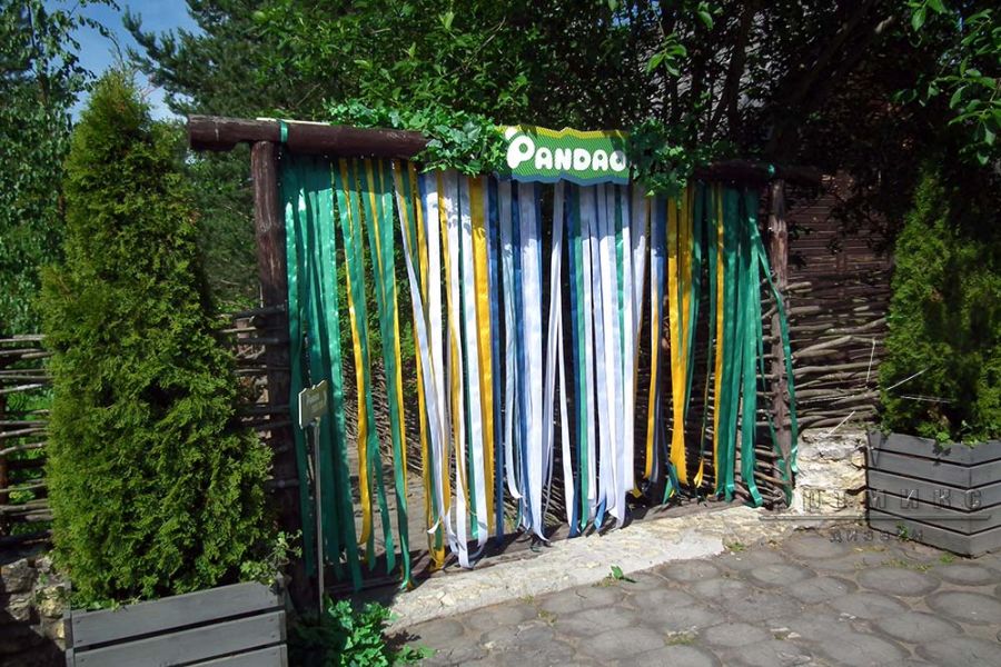 Летний корпоратив "Пандао"