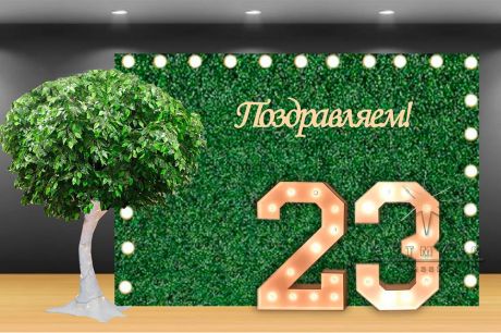 Фотозона к 23 февраля (Дерево на зеленом фоне)